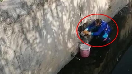 Belediye çalışanından insanlık dersi! Dereye düşen kediyi böyle kurtardı