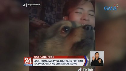Aso, sumasabay sa kanyang fur dad sa pagkanta ng Christmas song | 24 Oras Weekend