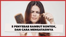 5 Penyebab Rambut Rontok, Salah Satunya Bisa Jadi Kekurangan Nutrisi