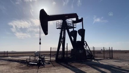 Türkiye-Suriye sınırında petrol keşfi