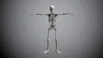 Very funny bones dancing video copyright free