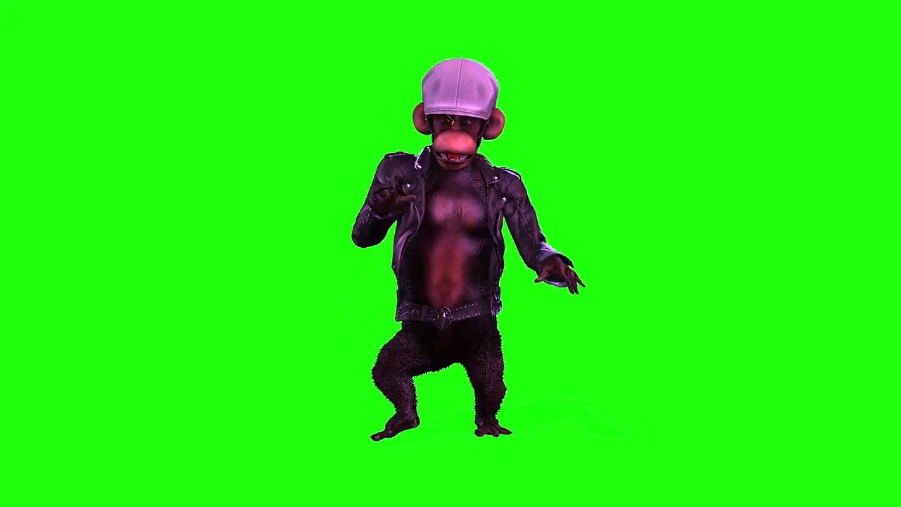 Copyright free monkey dance