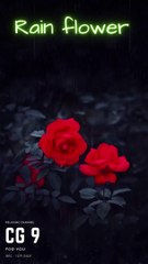 Flower In The Rain #nature beauty #shorts