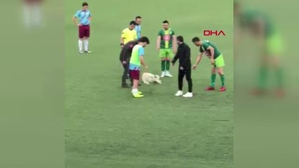SPOR Sahaya giren köpek maçın geç başlamasına neden oldu