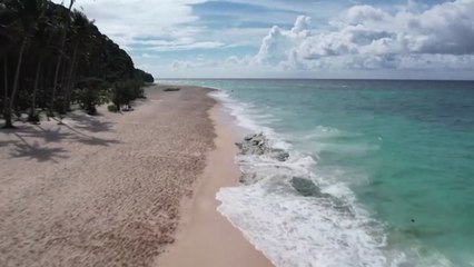 '오미크론'에 다시 닫힌 하늘길...필리핀 국경 통제 강화 / YTN