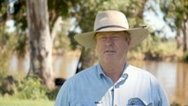 Farmers on Qld-NSW border facing widespread flood damage