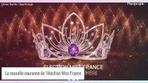 Miss France : Une reine de beauté est la mère d'un comédien de Scènes de ménages !