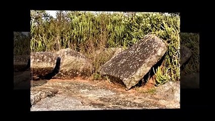 Sitio megalítico de Dannanapeta (Andhra Pradesh, India)