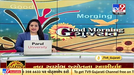 Valsad_ People panic as bulls fight amid market_ TV9News