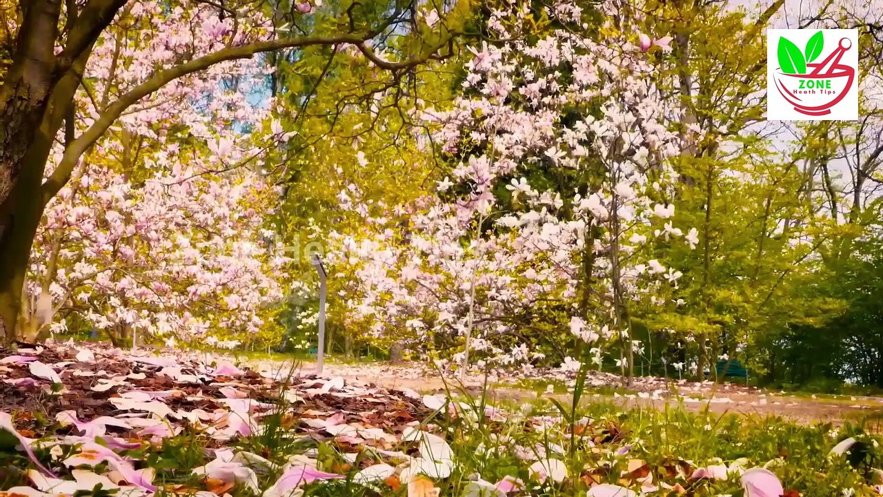 Mardana Kamzori Ka Elaj - Nafs Ko Lamba Karny Ka tarika - Mardana Timing Barhany Ka Tarika