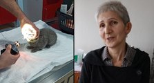 Eşine kızıp kediyi duvara fırlatan kocaya 1500 TL ceza