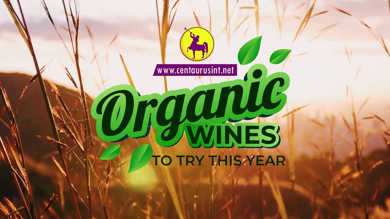 5 Organic Wines to Try this Year