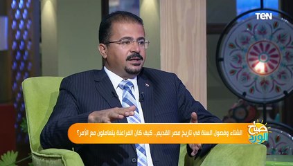 حقائق ستبهرك.. شاهد كيف اكتشف المصري القديم التقويم والتوقيت وفصول السنة