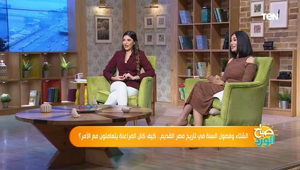 أستاذ آثار مصرية: الأبراج منقوشة على جدران معبد دندرة واكتشافها يرجع للمصري القديم