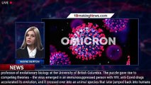 Scientists puzzled over when, how Omicron emerged - 1breakingnews.com