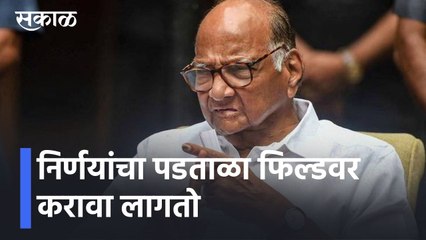 Sharad Pawar l निर्णयांचा पडताळा फिल्डवर करावा लागतो l Sakal