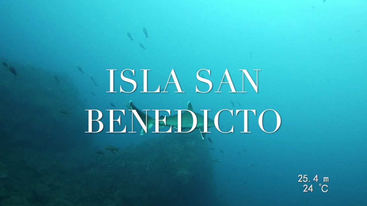 Isla San Benedicto Soccoro Pacific