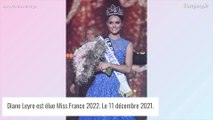 Miss France 2022 : Diane Leyre répond aux attaques d'une ministre, 