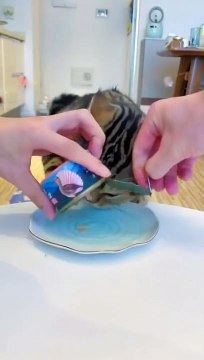 Cat Dinner Time | Funny Cats | Cute Cats | AR Studio