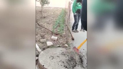 Kanalizasyona düşen kedi yavrusu kurtarıldı