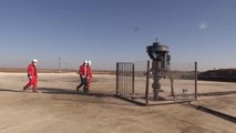Türkiye-Suriye sınırındaki petrol keşfi yöre halkını sevindirdi