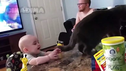 طرائف مضحكة مع الحيوانات