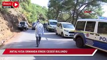 Antalya'da ormanda erkek cesedi bulundu