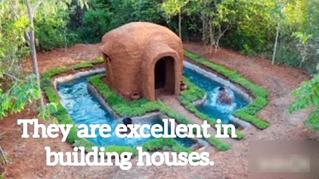 Welcome to the mud kingdom.