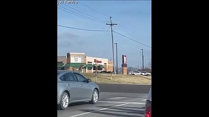 Regardez ce qu'on croise sur la route au Texas...