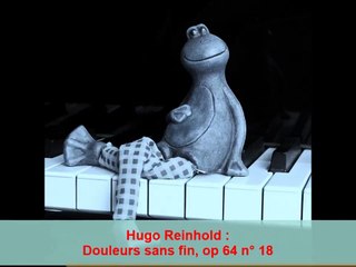 Hugo Reinhold : Douleurs sans fin, op 64 n° 18