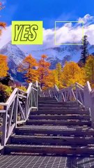 beautiful places status - Your comment Yes or No #shorts