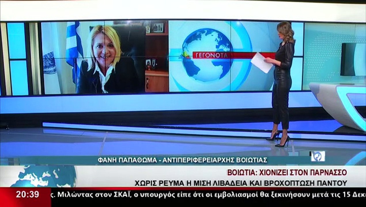 Η Αντιπεριφερειάρχης Βοιωτίας Φ.Παπαθωμά, στο δ...