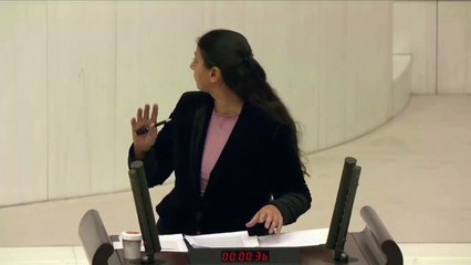 HDP'li vekil milletin Meclis'ini babasının çiftliği sandı TBMM Başkanvekili ağzının payını verdi!