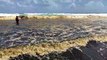 Manchas pretas no mar da Praia do Futuro, em Fortaleza