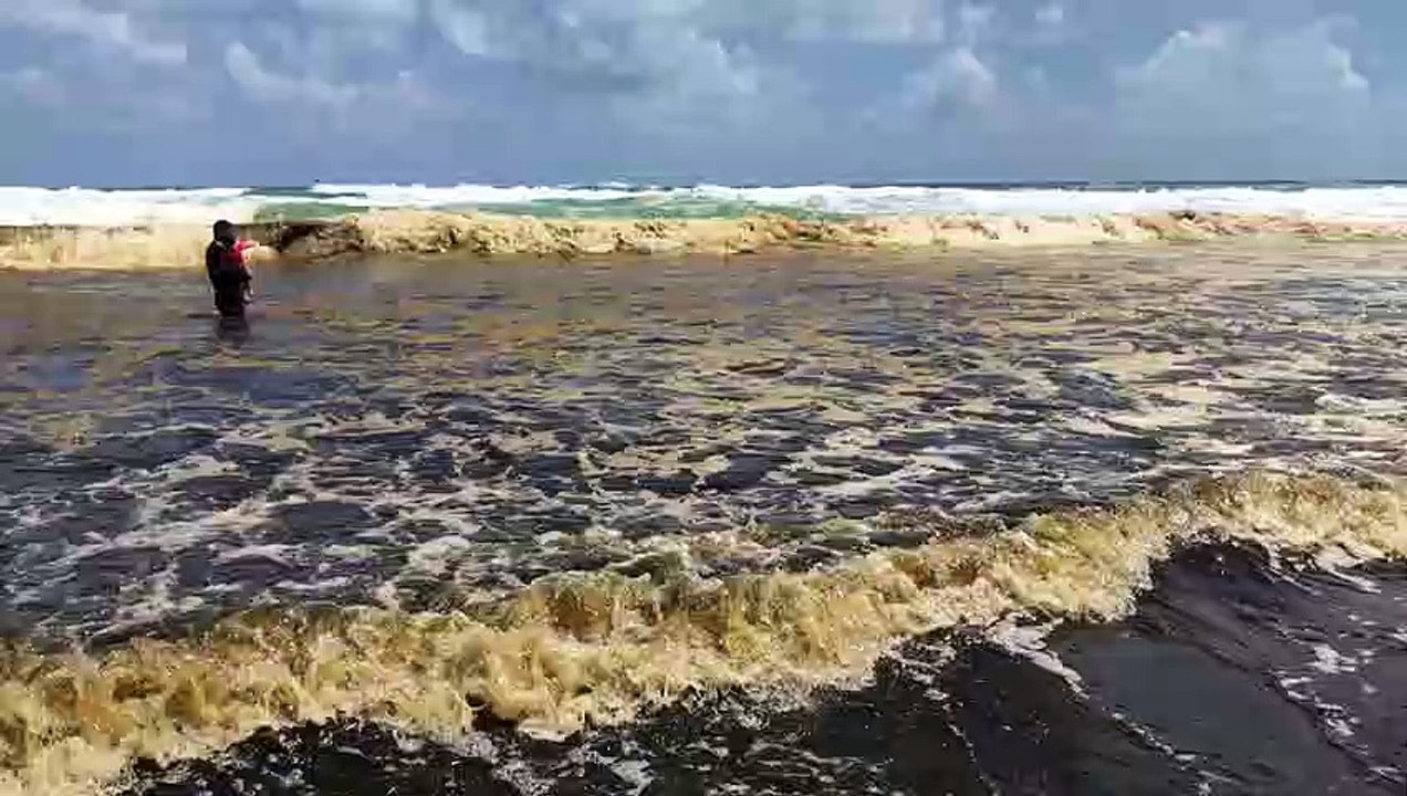 Manchas pretas no mar da Praia do Futuro, em Fortaleza