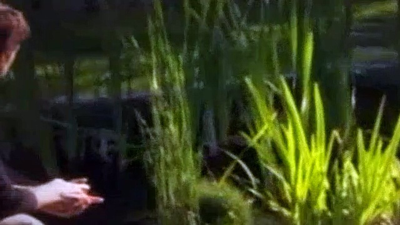 Kyle XY S02E01 - The Prophet