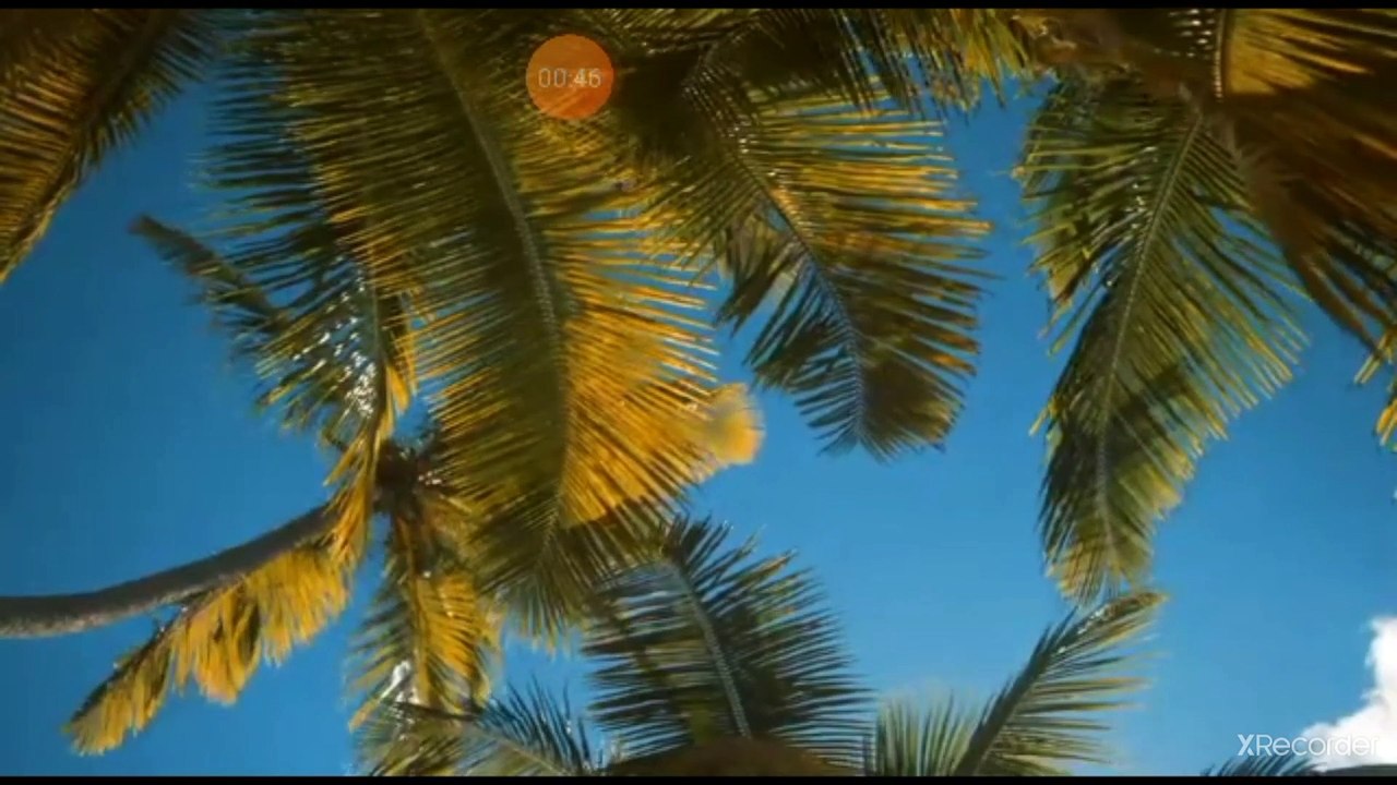 نقي قلبك القرآن شرح المراد بعبارة نور الإيمان