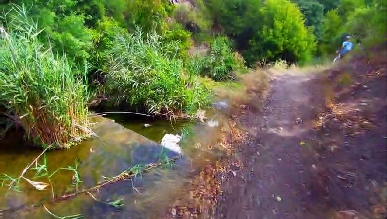 Поездки в 2020