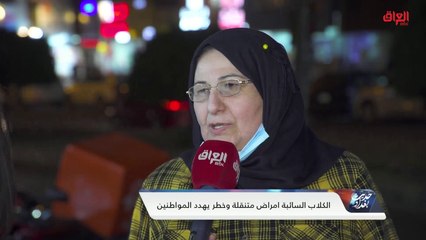 آراء الشارع العراقي حول انتشار الكلاب السائبة في البلاد