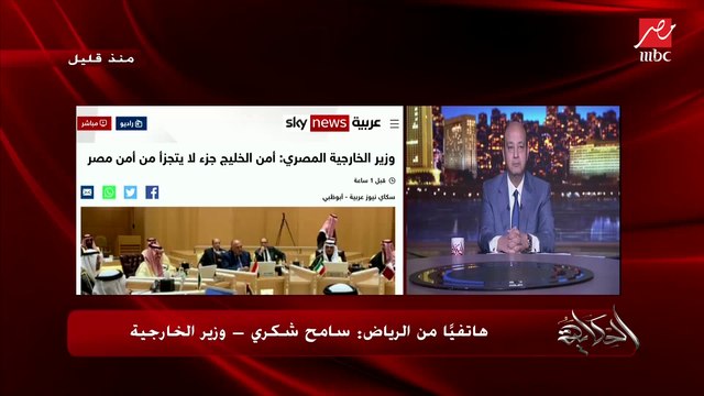 الأمن القومي المصري جزء لا يتجزأ من الأمن القومي الخليجي والعربي.. وزير الخارجية سامح شكري يوضح التفاصيل