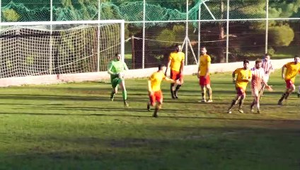 Αμβρυσσέας Διστόμου-Νέα Αρτάκη 1-1