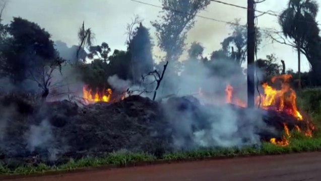 Bombeiros combatem incêndio em vegetação na Região da FAG