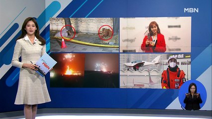 인터넷 와글와글 1213 '돌담길에 소 두 마리' 집회 왔던 주인, 경찰 조사 외 3가지 키워드
