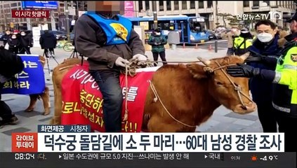 [핫클릭] 덕수궁 돌담길에 소 두 마리…60대 남성 경찰 조사 外