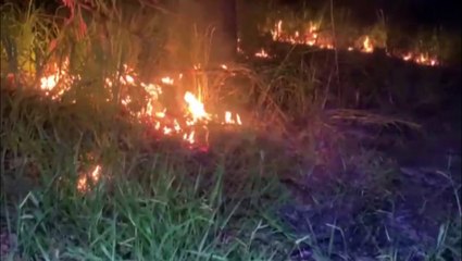 Bombeiros são acionados para combaterem incêndio no Santa Felicidade