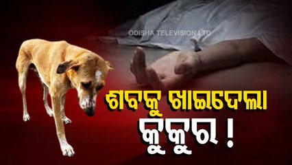 Stray Dogs Eats Dead Body In Rourkela Government