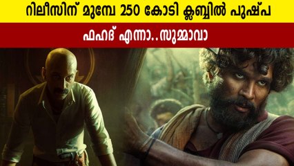 റിലീസിന് മുമ്പ് തന്നെ 250കോടി ക്ലബ്ബിൽ ഇടം പിടിച്ച് പുഷ്പ | FilmiBeat Malayalam