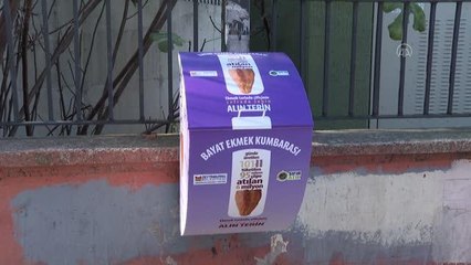 Çöp yerine kumbaraya atılan ekmekler "can dostlar"ı doyuruyor