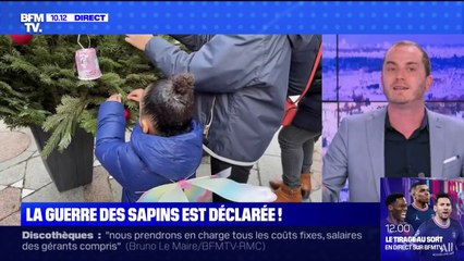 Sapin symbolique ou vrai sapin ? La guerre est déclarée