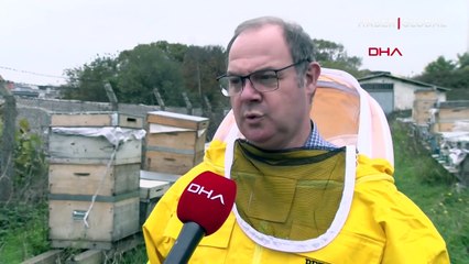 Kuraklık balı vurdu: Arılar ölüyor, üretim düşüyor